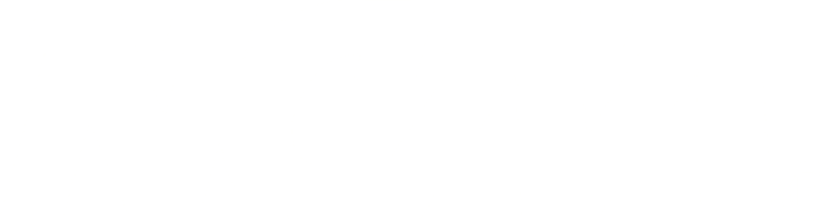 Partner logo 6